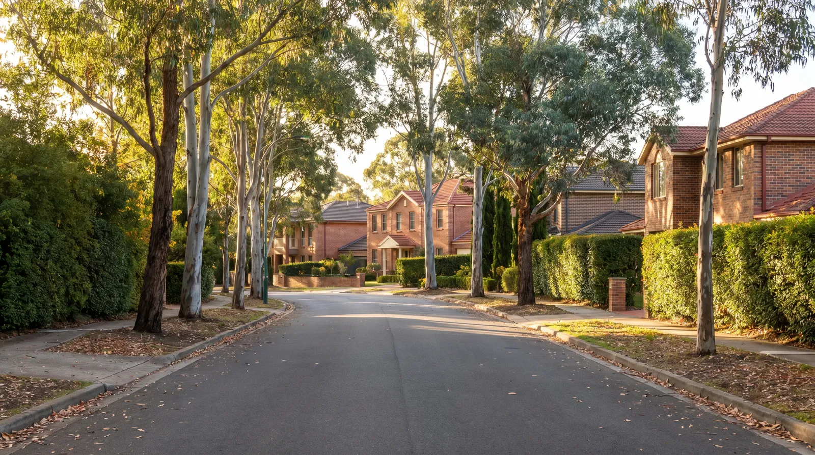 A wide leafy East Killara street of two-storey brick homes behind hedges and tall gums